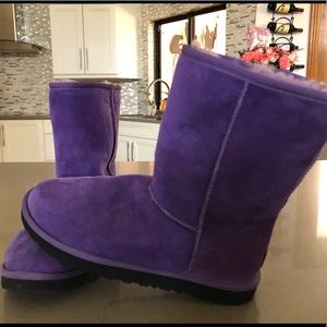 Purple Ugg Boots- Womens
